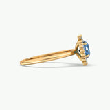 V446 - Halo Ring Of Round Brilliant Stones