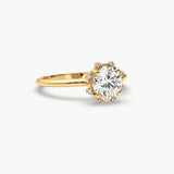 V636 - Scattered Halo Ring Of Round Stones