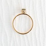 Rose Lace Ring - 0.32 Australian Parti Sapphire - Rings - Raelyn Rose Jewellery